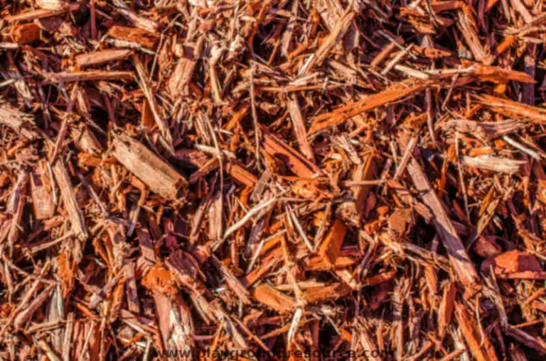 is-cedar-mulch-good-for-playgrounds-cedar-mulch-review-playground